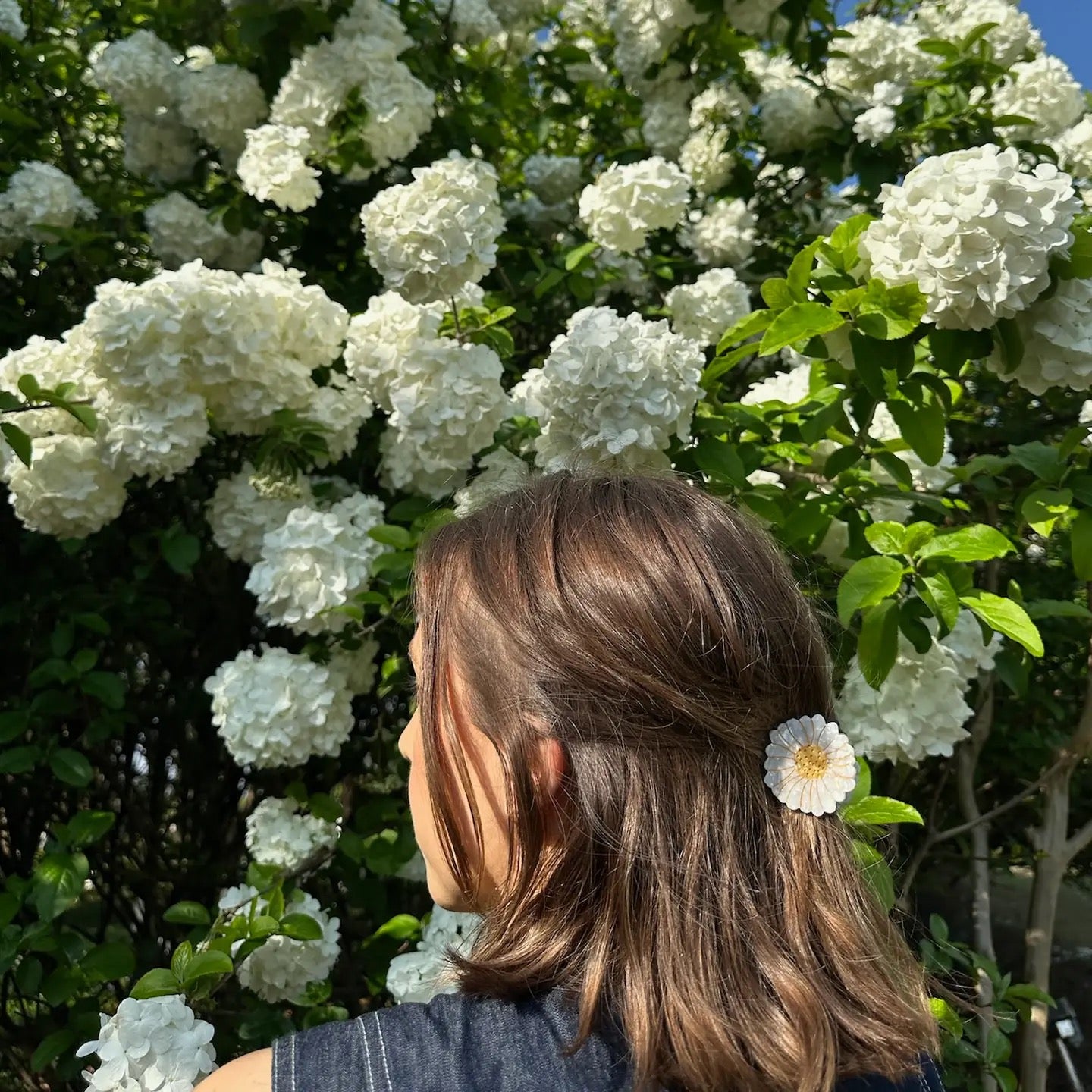 Mini Daisy Claw Clip