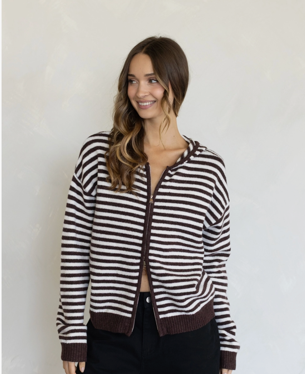 Cooper Hooded Sweater-Brown Stripe